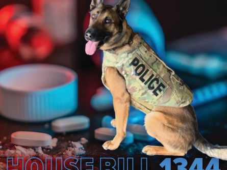 Fentanyl Bill Set to Become Law