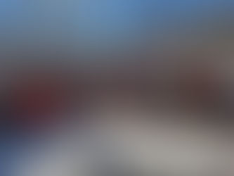 Ruffed Grouse and American Woodcock Society Complete More Alder Renewal for Wildlife at Tionesta Lake 