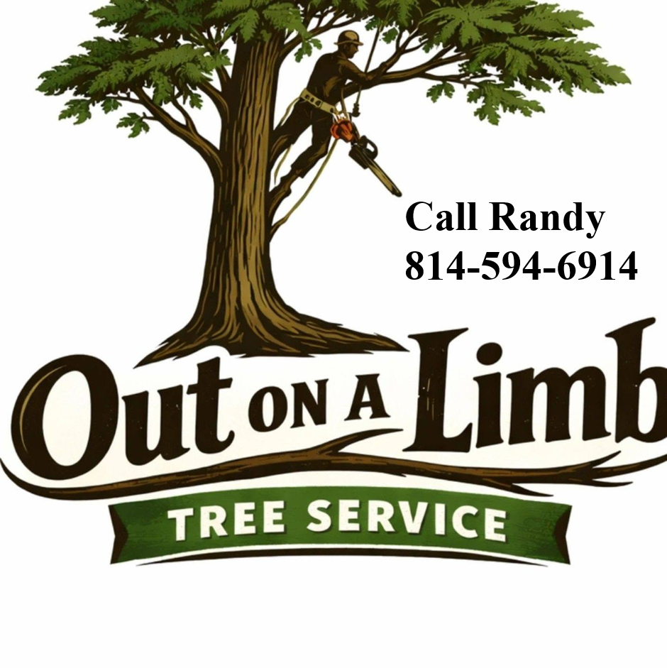 OUT ON A LIMB WEB AD 2026