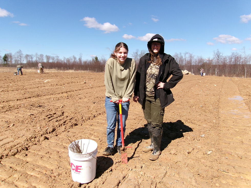 Ruffed Grouse Society Needs Volunteers for Planting and Fencing for Wildlife on Saturday, April 11th