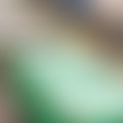 Brockport Residents Speak Out Against Proposed "Trash Train"