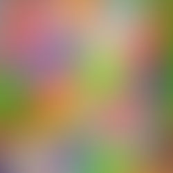 Raising Bullying Awareness in Area Middle and High Schools with 3,000 “Thumbs Down to Bullying” Backpack Tags