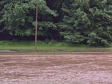 More Flooding Video From St. Marys