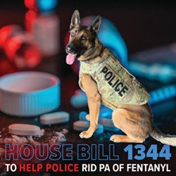Fentanyl Bill Now Law