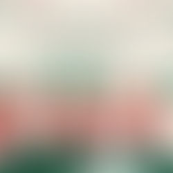 Elf Workshop Sunday, December 21st At The Dam Inn