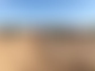 Ruffed Grouse Society Needs Volunteers for Planting and Fencing for Wildlife on Friday, April 3, and Saturday, April 11 