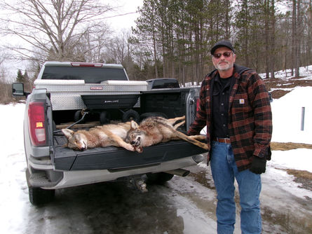 Fremer Brings First Coyotes to Rolfe Beagle Club’s Statewide Coyote and Fox Hunt or Trap 