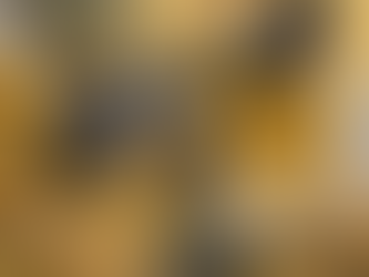 Revolutionize Dining: Healthy, Zero Waste Grain Bites