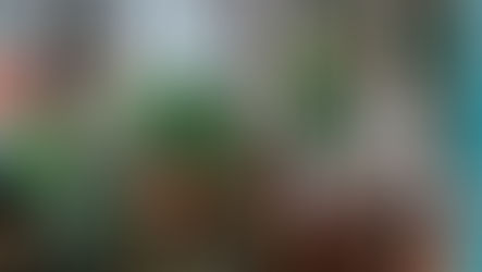 What can we learn about self-care through houseplants?