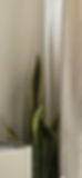 20240204_100434.jpg