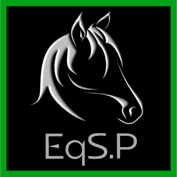 EqSP Equine Studio Photography Logo, EqSP Equine Studio Photography, horse photography, Equine Photography, Horse Portraits, Horse Portrait Services, Horse photoshoot, Equine portraits, equine photoshoot, equine photography services, professional horse photographer,  professional equestrian photoshoot, 