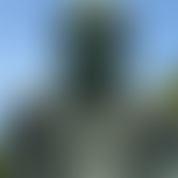 Great buddha at Kamakura