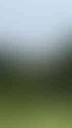 Taiwan Pavilion Shinjuku Gyoen National Park