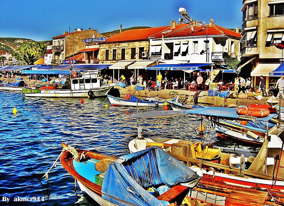 Foça