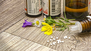 Tierheilpraxis Vivienne Portmann_Homöopathie