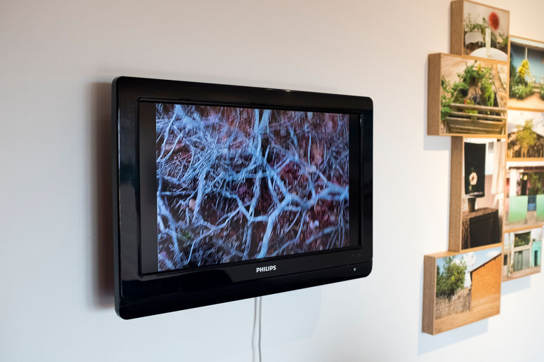 Helio Carvalho©_Um_Jardim_em_Floresta_11.jpg