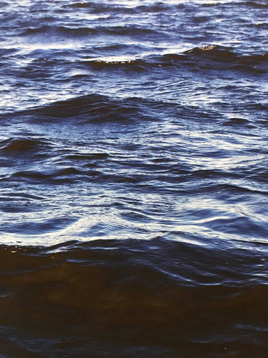 PHOTO-2020-04-01-10-17-57 (1).jpg