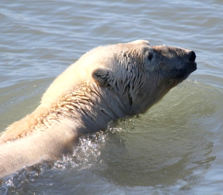 Svalbard+7_edited.jpg