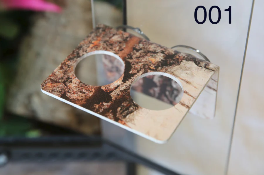 Shop Rosemere Reptiles 2/4