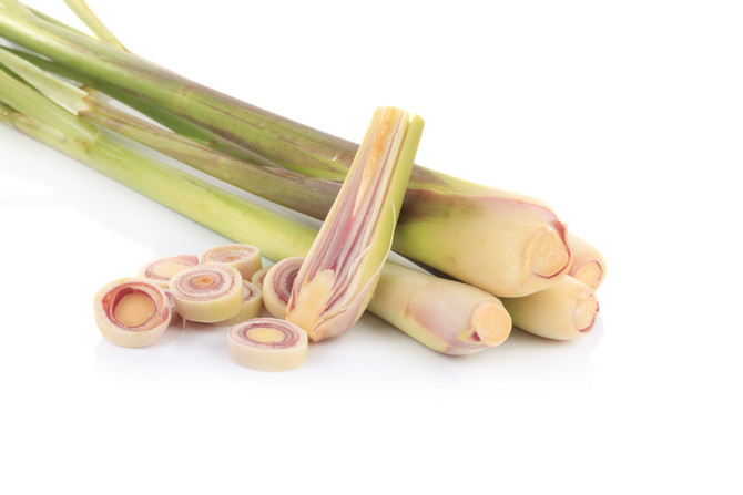 About Lemongrass Oil
