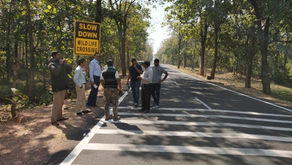 Chandrapur-Mul Highway (NH-930)