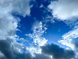 Tennis Balls and Racket