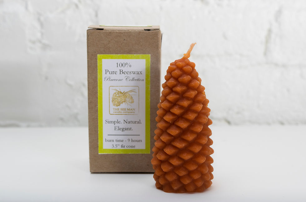Thumbnail: Medium Pinecone