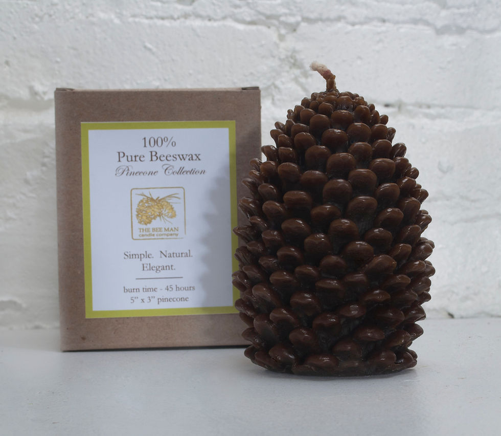 Thumbnail: Large Pinecone