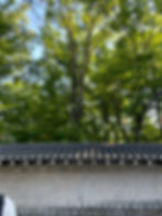 韓国 ソウル