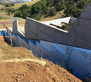 Screen Shot 2021-06-22 at 12.55_edited.j