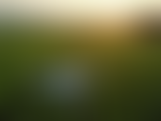 Aplicação de Insumos com Drones: Vantagens Para Agronegócio