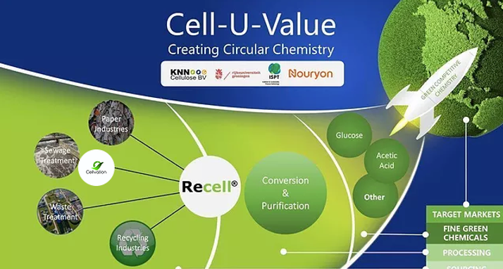 Cell-U-Value project