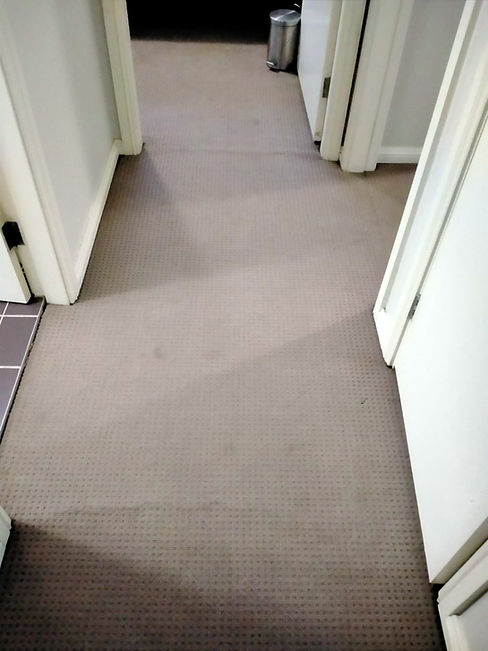 WhatsApp Image 2022-12-12 at 10.05.48 PM.jpeg