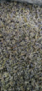 Miniatura: lavanda miel