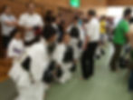 S__294412295