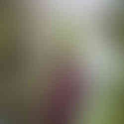 Sophia Bengtson, of the GodTreks Adventure Club of Judah Christian School, hiking around Jenny Lake