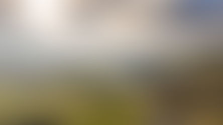 Media Statement - Miraka announces Sale to Open Country Dairy