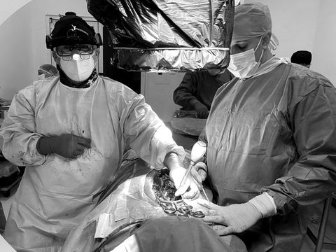 Spinal Fixation Systems