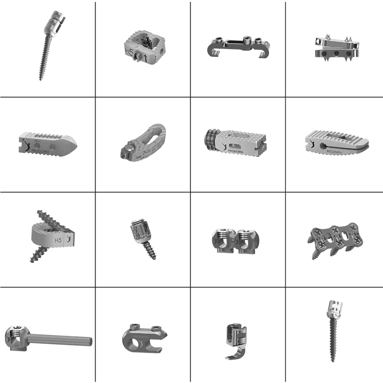 prodorth spine