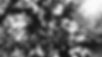 0EB1E754-3BFB-4A6E-8FCD-EC8FDFB63958.jpg