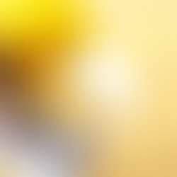 SAF Construções: um patrocinador sólido no Classic Tour 4x4!