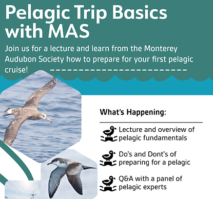 pelagic.png