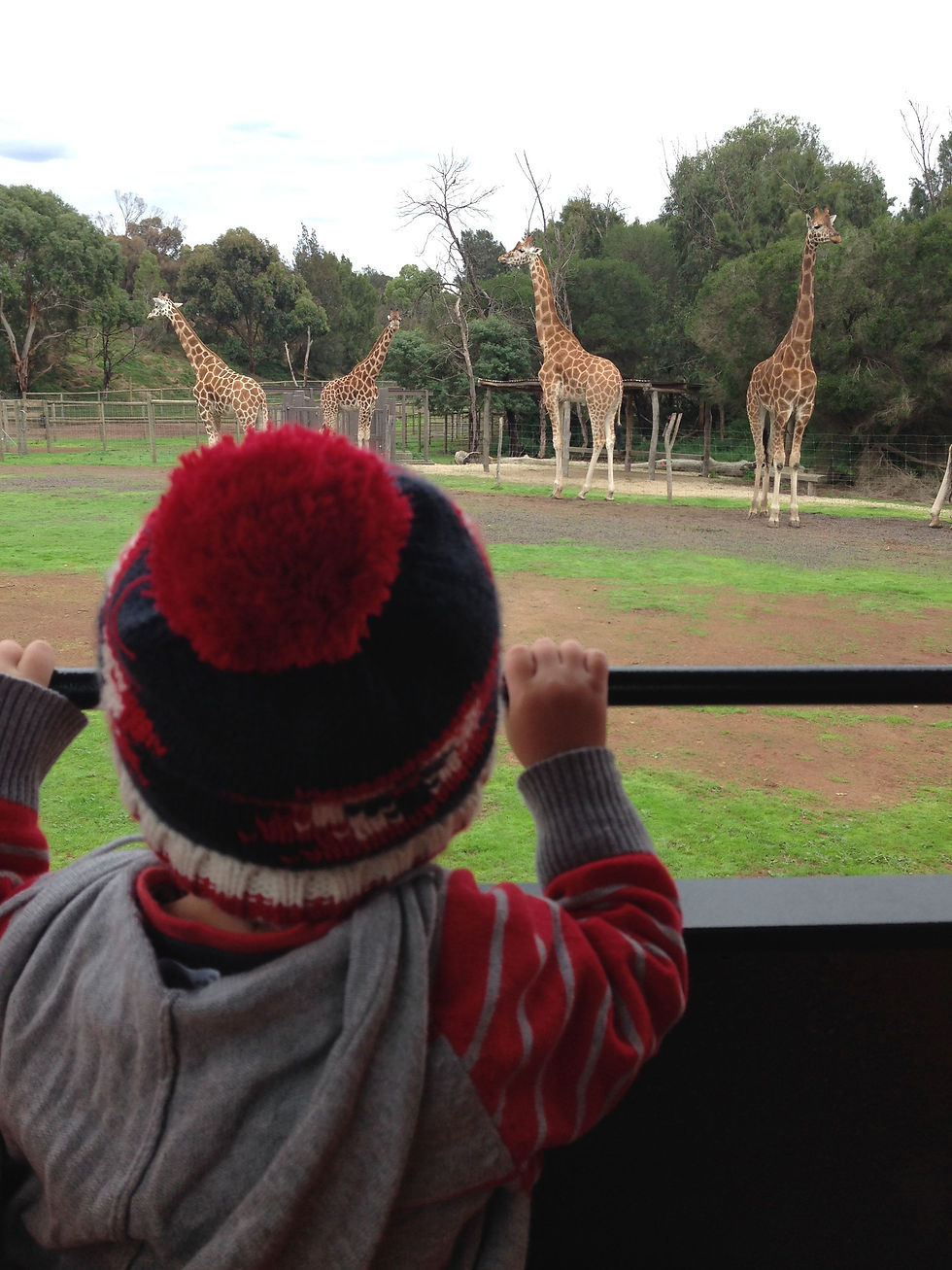 Werribee Zoo
