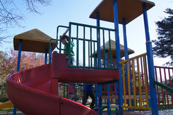 Queens Park, Healesville