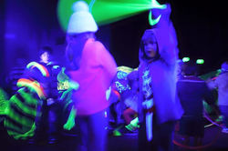 Wild Nights at Werribee Zoo