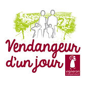 vendangeur_d1_jour_blanc0.jpg