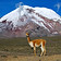 chimborazo.jpg