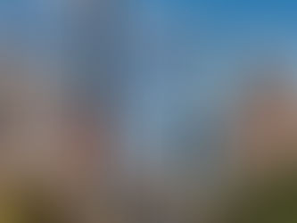 Austin VIP Luxury: 3 Days of Elegance, Estates & Elevated Experiences