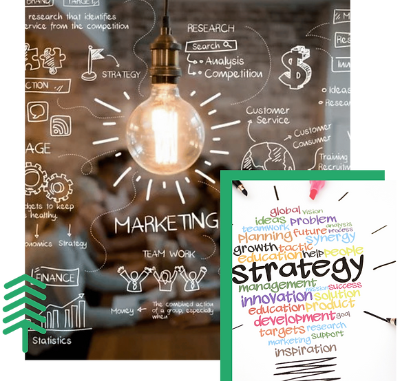 Marketing Strategy Intro Image (1).png