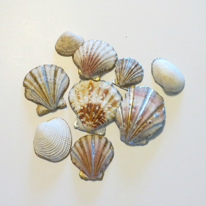 Thumbnail: Shells Decor Gold and Silver Trimmed Shells for Table Decor Shelves Dresser Cent
